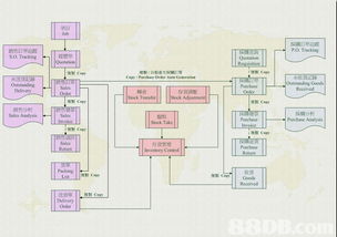 旺角工作機會聚焦 計算機軟件開發與會計系統的職業前景